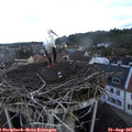 08_30-nest.jpg