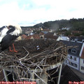 08_35-nest.jpg