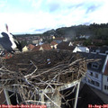 08_40-nest.jpg
