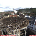 09_00-nest.jpg