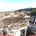 09_15-nest.jpg