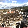 09_20-nest.jpg