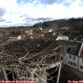 09_25-nest.jpg