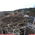 09_35-nest.jpg