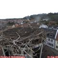 09_40-nest.jpg