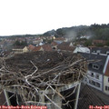 09_45-nest.jpg