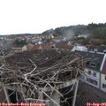 09_50-nest.jpg