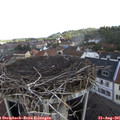 09_55-nest.jpg