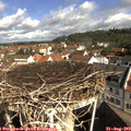 10_00-nest.jpg