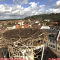 10_15-nest.jpg