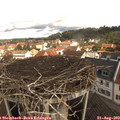10_20-nest.jpg