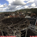 10_30-nest.jpg