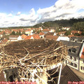 10_35-nest.jpg