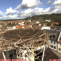 10_45-nest.jpg