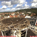 10_50-nest.jpg