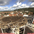 10_55-nest.jpg