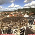 11_00-nest.jpg