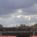 11_05-mast.jpg