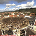 11_05-nest.jpg