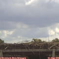 11_15-mast.jpg