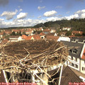 11_15-nest.jpg