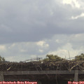11_20-mast.jpg
