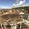 11_20-nest.jpg