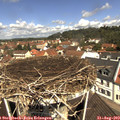 11_30-nest.jpg