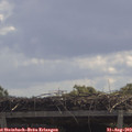 11_40-mast.jpg