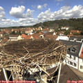 11_40-nest.jpg