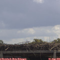 11_45-mast.jpg