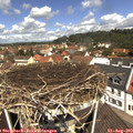11_45-nest.jpg
