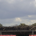 11_50-mast.jpg