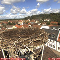 11_50-nest.jpg