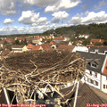 11_55-nest.jpg