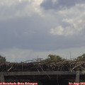 12_00-mast.jpg