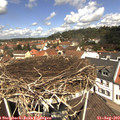 12_00-nest.jpg