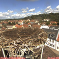 12_05-nest.jpg