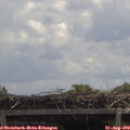 12_15-mast.jpg
