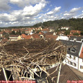 12_15-nest.jpg