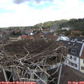 12_20-nest.jpg