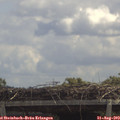 12_25-mast.jpg