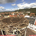 12_25-nest.jpg