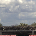 12_30-mast.jpg