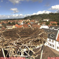 12_30-nest.jpg