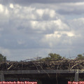 12_35-mast.jpg
