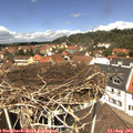 12_35-nest.jpg