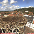 12_45-nest.jpg