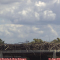 12_50-mast.jpg