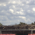 12_55-mast.jpg